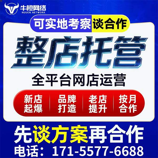 福鼎电商代运营