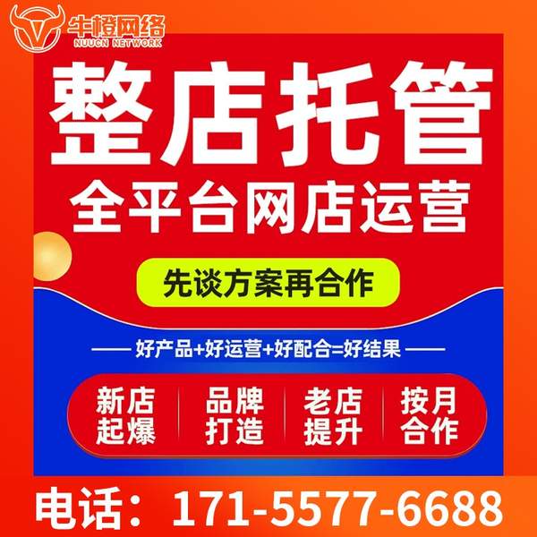 福鼎电商代运营