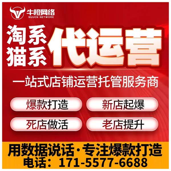 福鼎电商代运营